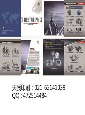 上海普陀區(qū) 融合畫(huà)冊(cè)印刷與軟件開(kāi)發(fā)，打造數(shù)字時(shí)代高端視覺(jué)傳播方案